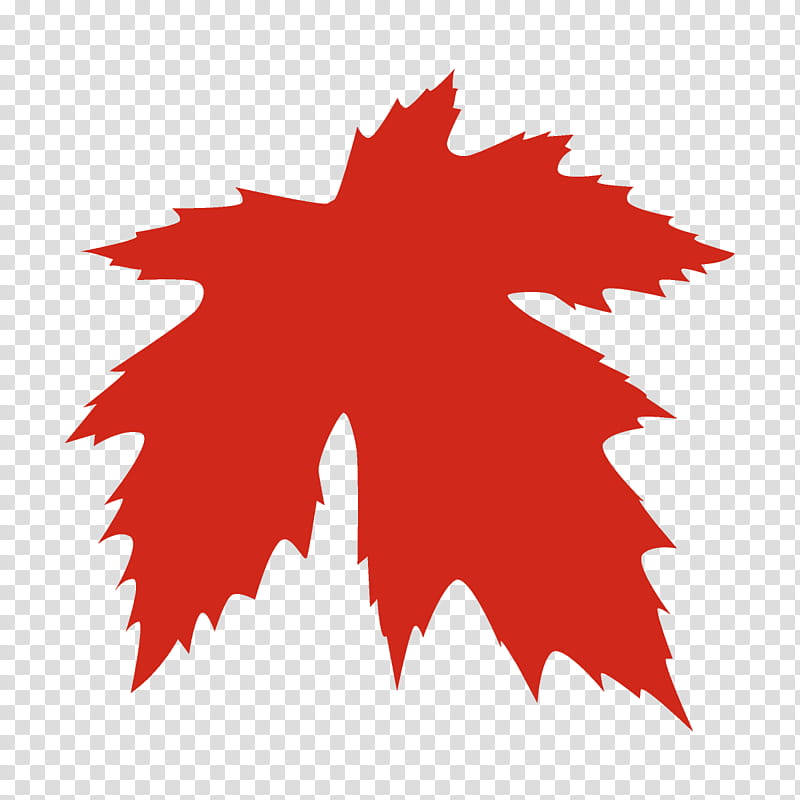 maple leaf autumn leaf fall leaf, Tree, Red, Woody Plant, Plane, Black Maple, Holly transparent background PNG clipart