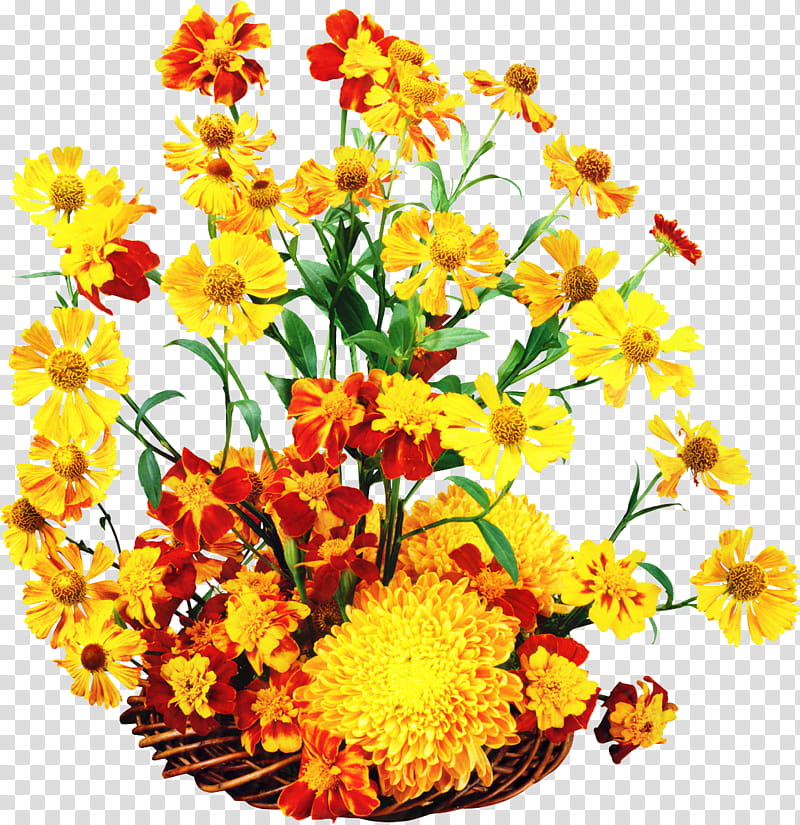 Floral Flower, Floral Design, Autumn, Painting, Floristry, Floriculture, Basket, Nosegay transparent background PNG clipart