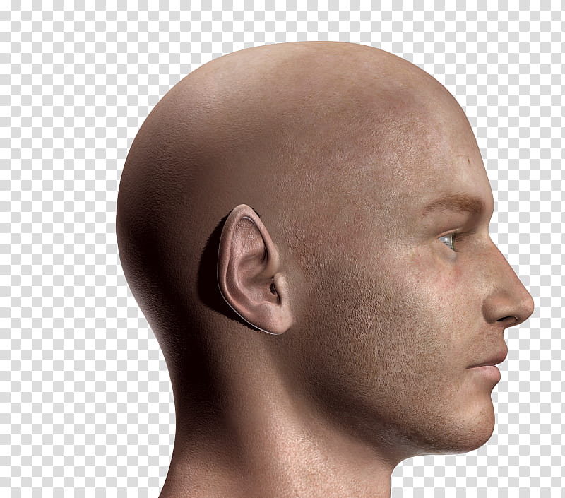 male elf face , bald man transparent background PNG clipart