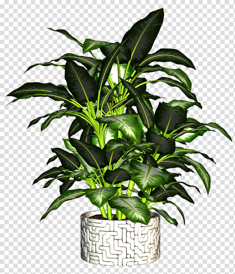Green Leaf, Flowerpot, Garden, Flower Garden, Price, Kitchen Garden, Plants, Houseplant transparent background PNG clipart