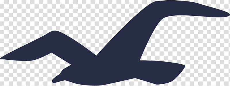 Bird Silhouette, Logo, Hollister Co, Wing, Seabird, Beak, Gull transparent background PNG clipart
