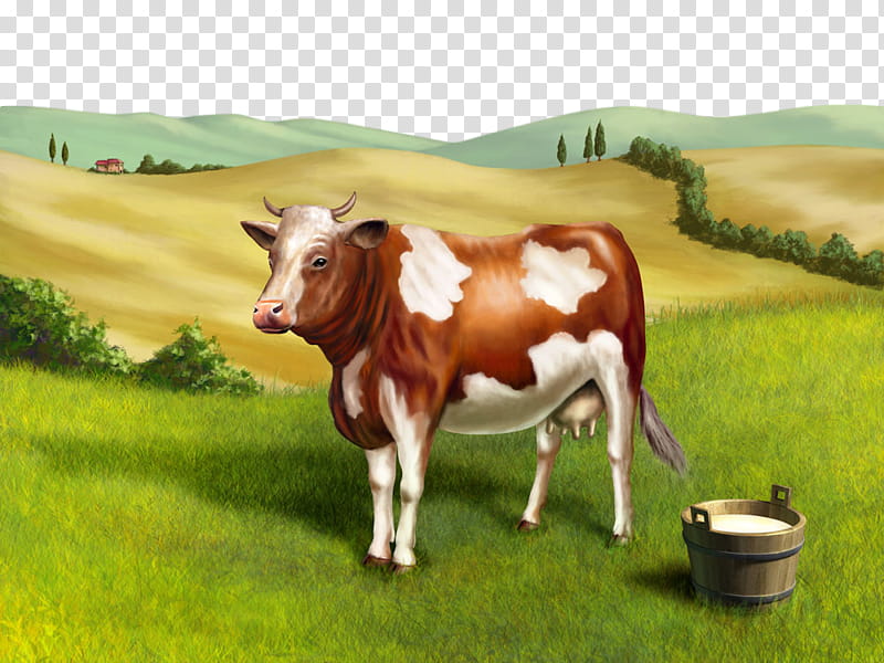 dairy cow bovine pasture natural environment grassland, Live, Meadow, Cowgoat Family transparent background PNG clipart