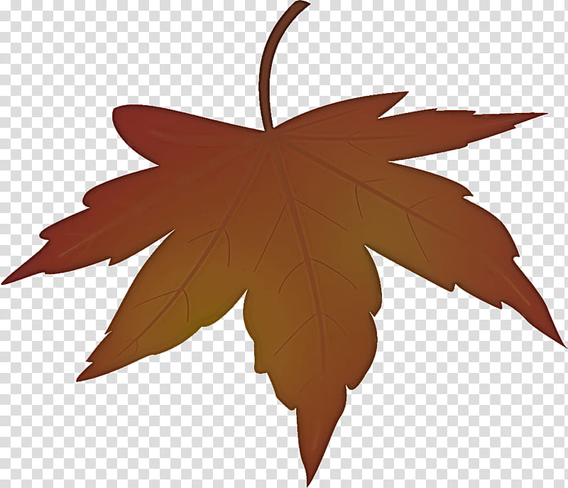 maple leaf autumn leaf yellow leaf, Tree, Woody Plant, Plane, Sweet Gum, Black Maple transparent background PNG clipart