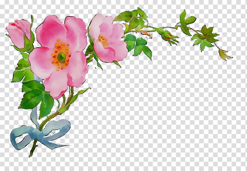 Floral Flower, Garden Roses, Floral Design, Sri Lanka, Cut Flowers, Petal, Ministry Of Education, Plant Stem transparent background PNG clipart