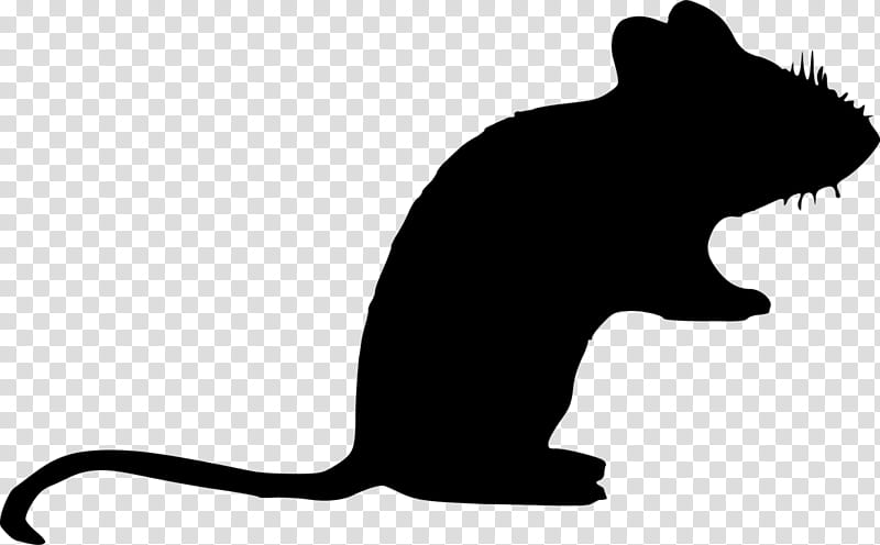 Dog And Cat, Whiskers, Rat, Snout, Silhouette, Puma, Black M, Tail transparent background PNG clipart