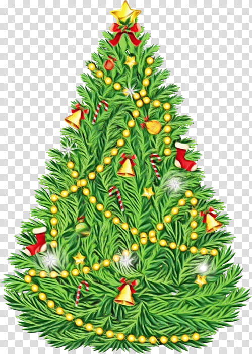 Christmas tree, Watercolor, Paint, Wet Ink, Shortleaf Black Spruce, Colorado Spruce, Yellow Fir, Oregon Pine, Canadian Fir, Balsam Fir transparent background PNG clipart