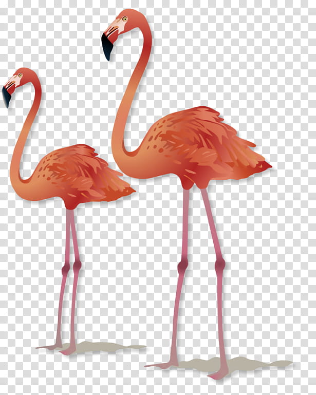 Pink Flamingo, Greater Flamingo, Maisons Du Monde, Furniture, Bedroom, Phoenicopterus, Garden, Statue transparent background PNG clipart