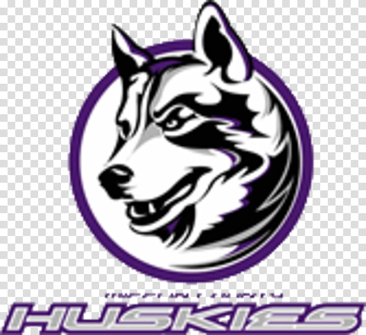 Junior High School, Juniata County Pennsylvania, Washington Huskies Football, Sports, School
, Wmrffm, Scorestream Inc, Husky transparent background PNG clipart