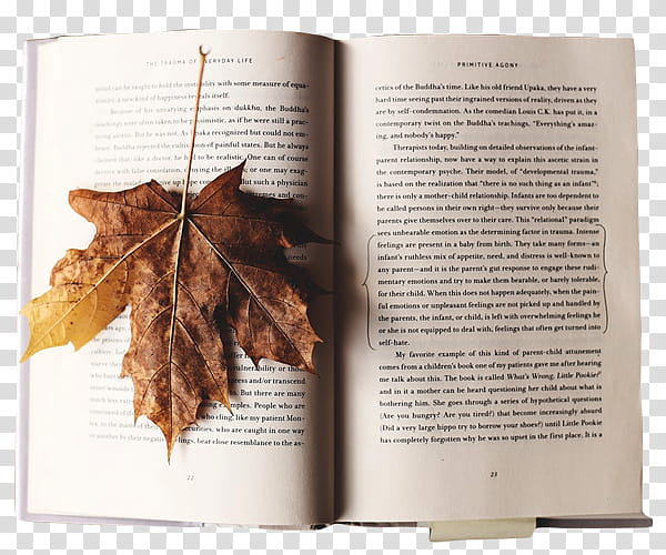 P, brown leaf on textbook transparent background PNG clipart