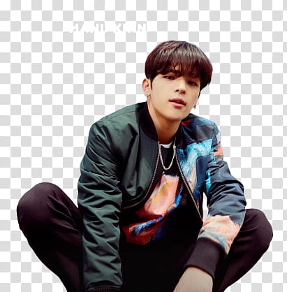 Kim Woojin of Stray Kids transparent background PNG clipart