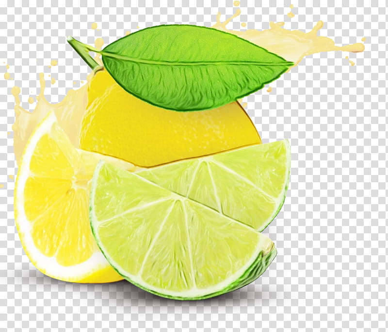 Green Leaf, Lemonlime Drink, Juice, Key Lime, Fruit, Persian Lime, Food, Citrus transparent background PNG clipart