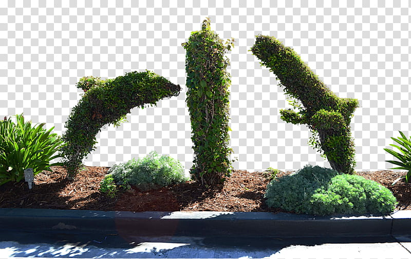 Dolphin Bush Topiary   transparent background PNG clipart