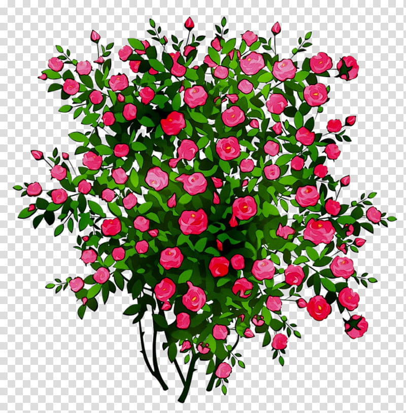 Pink Flower, Rose, Shrub, Silhouette, Plant, Cut Flowers, Bouquet, Branch transparent background PNG clipart