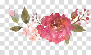 Watercolor Pink Flowers, Floral Design, Watercolor Painting, Vintage Clothing, Flower Bouquet, Floristry, Rose, Petal transparent background PNG clipart thumbnail