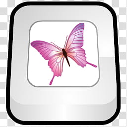 WannabeD Dock Icon age, Adobe InDesign, pink butterfly transparent background PNG clipart
