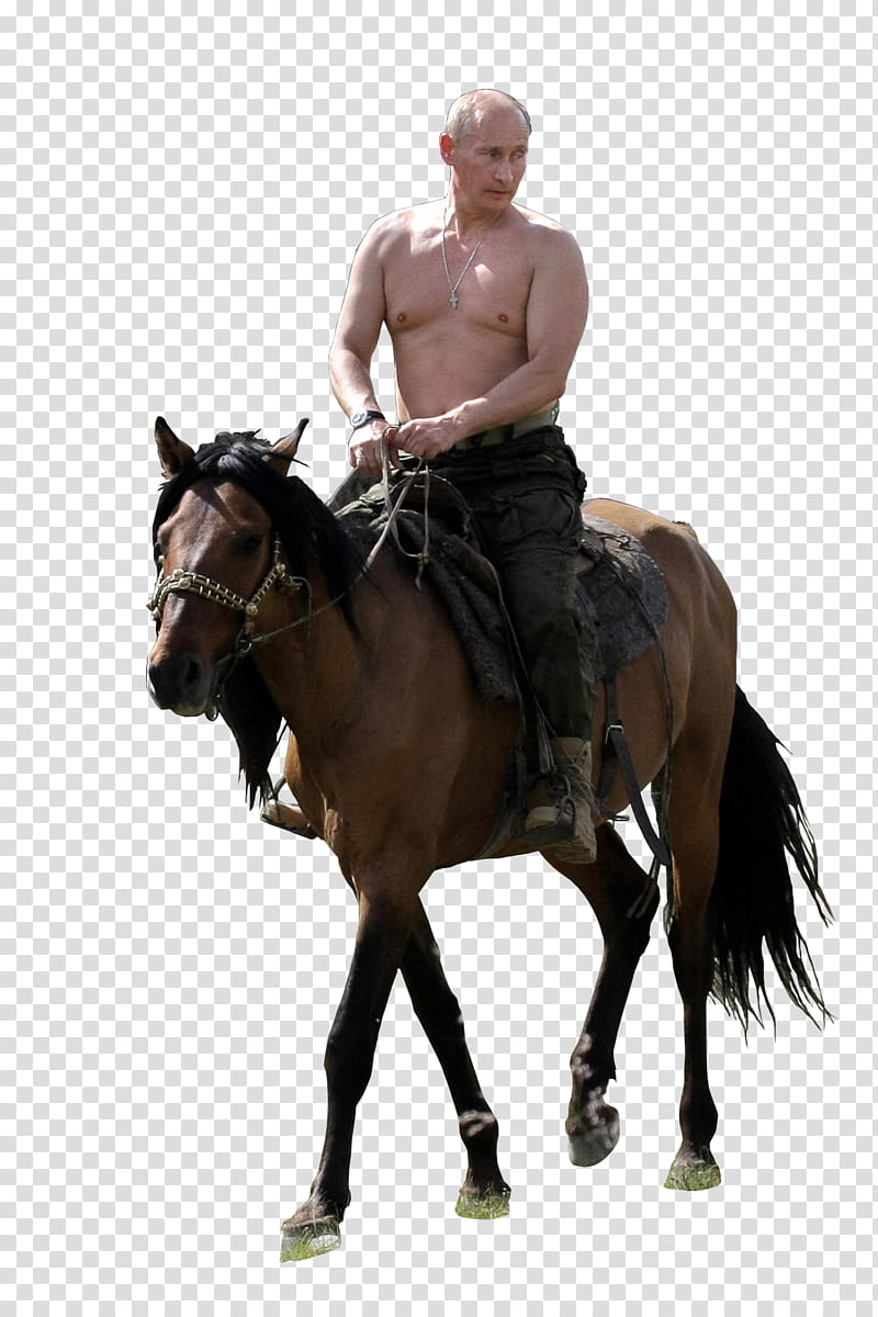 Donald Trump, Horse, Riding Horse, Equestrian, Tshirt Unisex Tshirt, President, Decal, Vladimir Putin transparent background PNG clipart