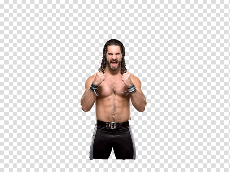 Seth Rollins  WWE transparent background PNG clipart