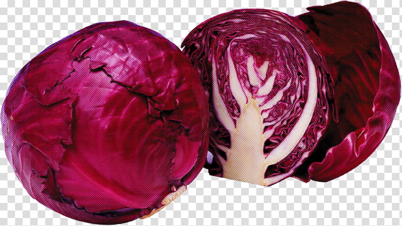 red cabbage pink purple magenta vegetable, Beetroot transparent background PNG clipart