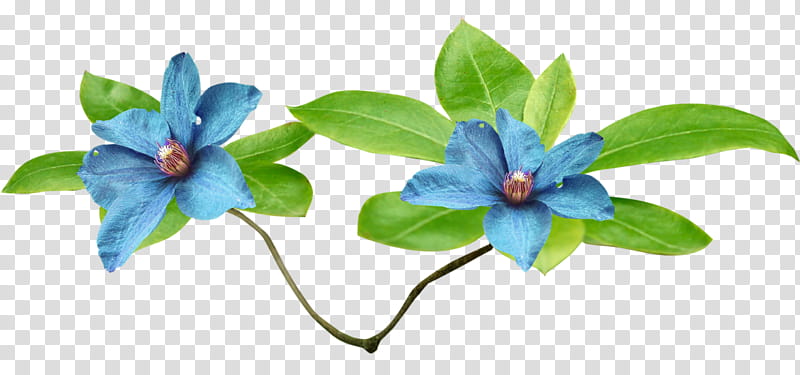 Artificial Flower, Petal, Blue, Mavi Jeans, Sky Blue, Plants, Painting, Color transparent background PNG clipart