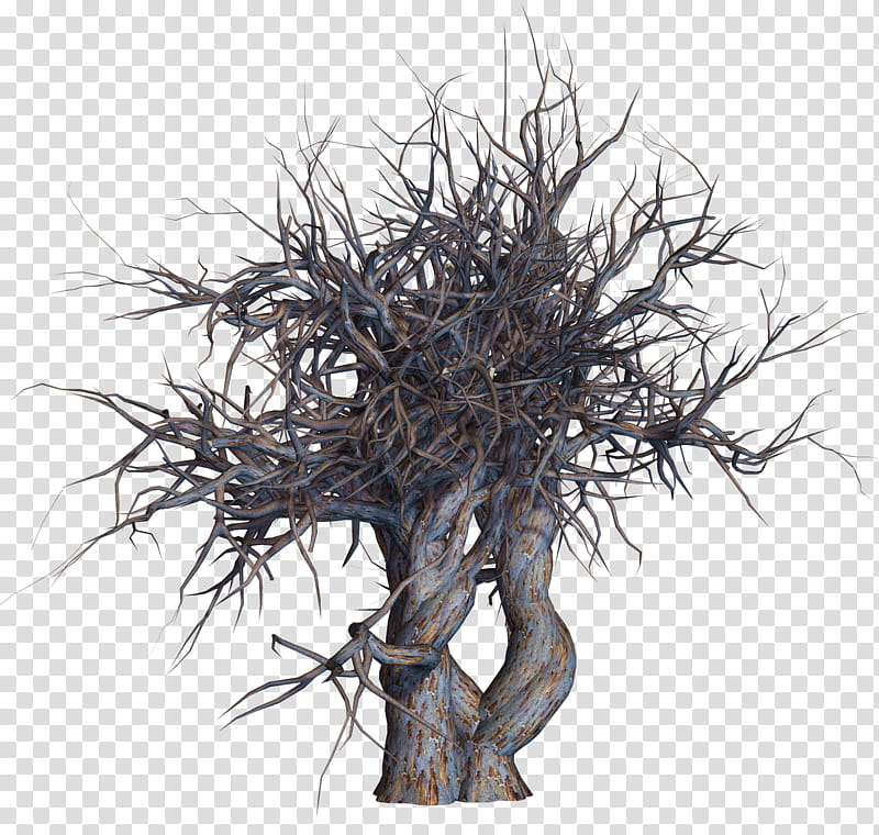 Dead Trees , tree branches without leaves transparent background PNG clipart