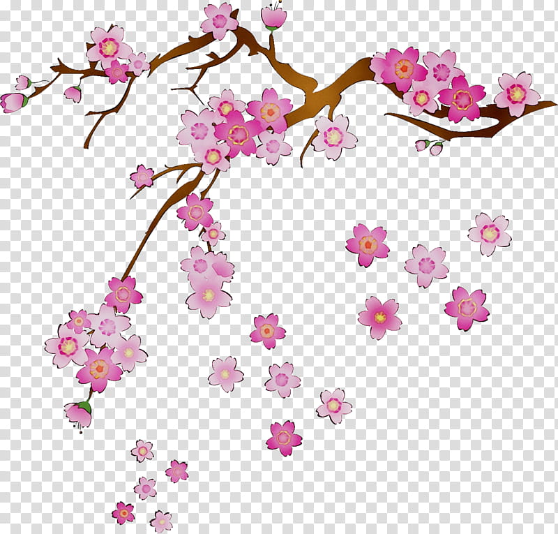 Cherry Blossom Tree Drawing, Cerasus, Paper, Branch, Partition Wall, Business, Ester, Living Room transparent background PNG clipart