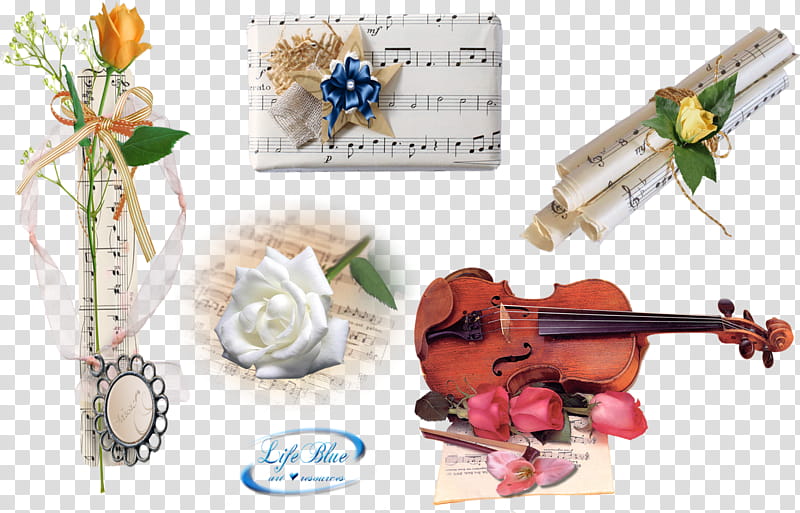 Musical notes, brown violin transparent background PNG clipart