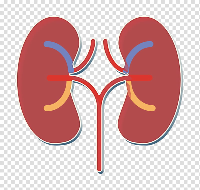 Medical Asserts icon Kidney icon, Red, Footwear, Line, Shoe transparent background PNG clipart
