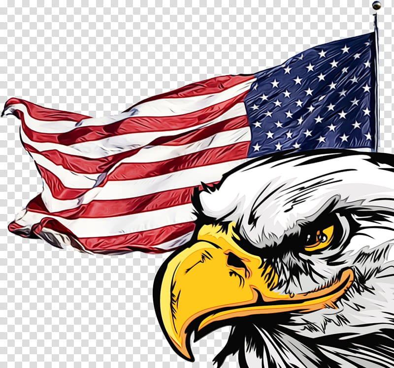 Veterans Day United States, Fourth Of July, 4th Of July, Independence Day, American Flag, Eagle, Kingsville, Drawing transparent background PNG clipart