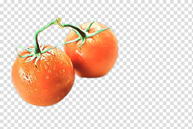 Tomato, Plum Tomato, Bush Tomato, Food, Mandarin Orange, Tangerine, Local Food, Vegetable transparent background PNG clipart