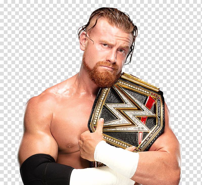 Buddy Murphy WWE Champion Custom transparent background PNG clipart