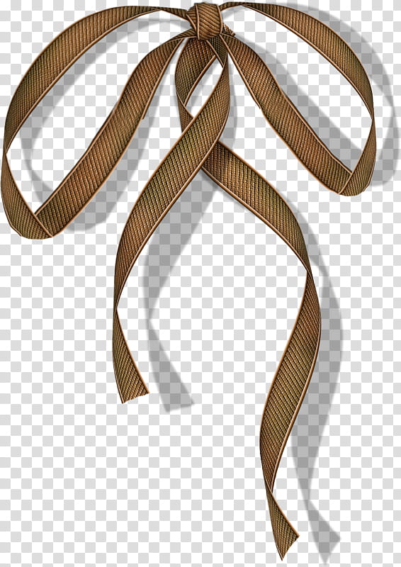 Background Ribbon, Albom, Brown, Creativity, Play transparent background PNG clipart