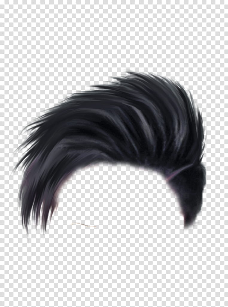  Hair PNG High Resolution For PicsArt Editing  CBEditz