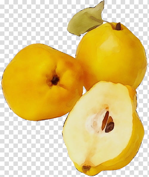 yellow fruit food plant natural foods, Watercolor, Paint, Wet Ink, Accessory Fruit, Quince, Superfood transparent background PNG clipart