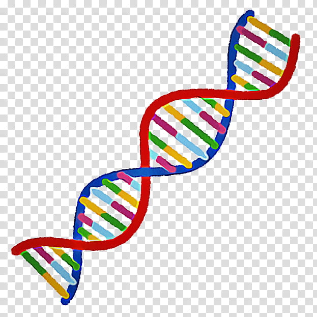 Science Clipart Dna Double Helix Free Transparent Png Clipartix | Sexiz Pix