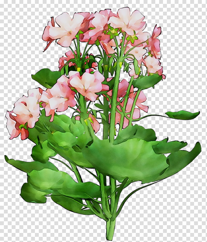 Sweet Pea Flower, Floral Design, Cut Flowers, Flower Bouquet, Plant Stem, Herbaceous Plant, Lily Of The Incas, Annual Plant transparent background PNG clipart