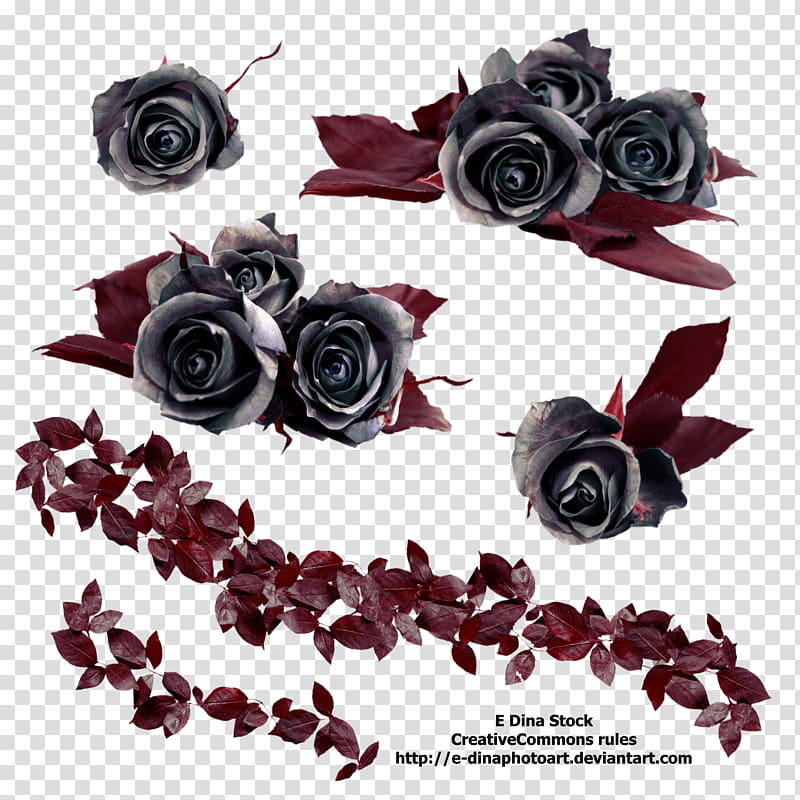 Black Roses, grey and pink flowers transparent background PNG clipart