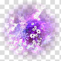 Puntos de Luz, purple Criativa Scape transparent background PNG clipart