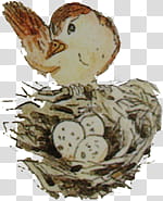 brown and white bird on nest painting transparent background PNG clipart