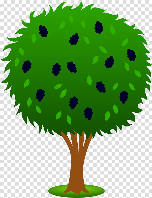 Apple Tree Drawing, Malus Sylvestris, Fruit, Cartoon, Apples, Green, Leaf, Plant transparent background PNG clipart