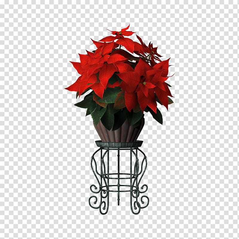 Poinsettia pot stand , red poinsettias flower plant on brown pot transparent background PNG clipart