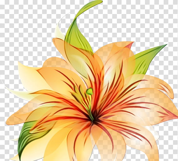 Flowers, Floral Design, Cut Flowers, Yellow, Petal, Lily M, Plant, Leaf transparent background PNG clipart