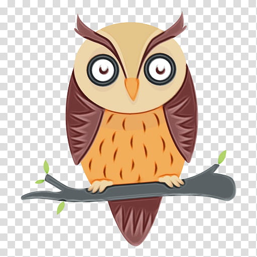 owl bird eastern screech owl bird of prey, Watercolor, Paint, Wet Ink, Cartoon, Branch transparent background PNG clipart