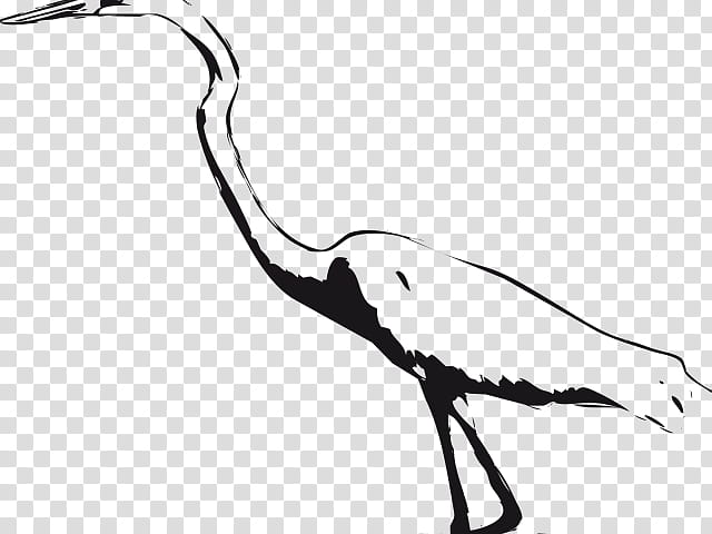 Bird Line Art, Crane, Green Heron, Great Egret, Great Blue Heron, Stork, Water Bird, Wader transparent background PNG clipart