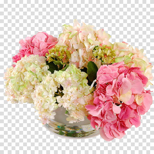 Flower power s, pink and white petaled flower transparent