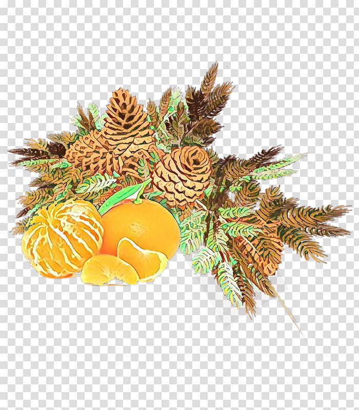 Pineapple, Fruit, Plant, Orange, Tree, Ananas, Fir, Pine Family transparent background PNG clipart