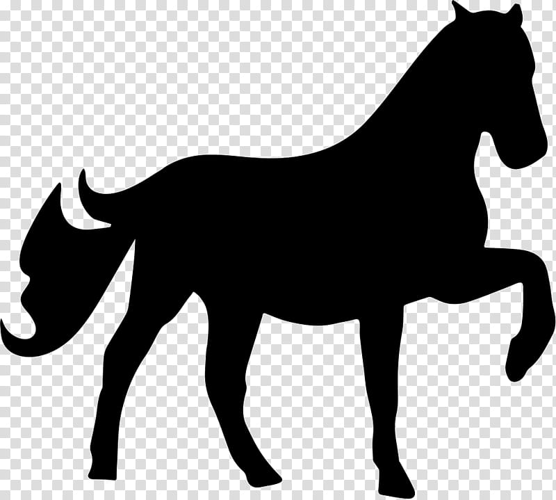 Horse, Stencil, Trot, Veterinarian, Canter And Gallop, Collection, Jumping, Horse Breeding transparent background PNG clipart