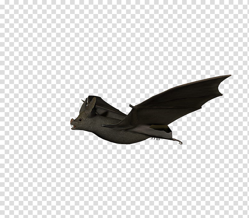 E S Bats , black bat flying illustration transparent background PNG clipart