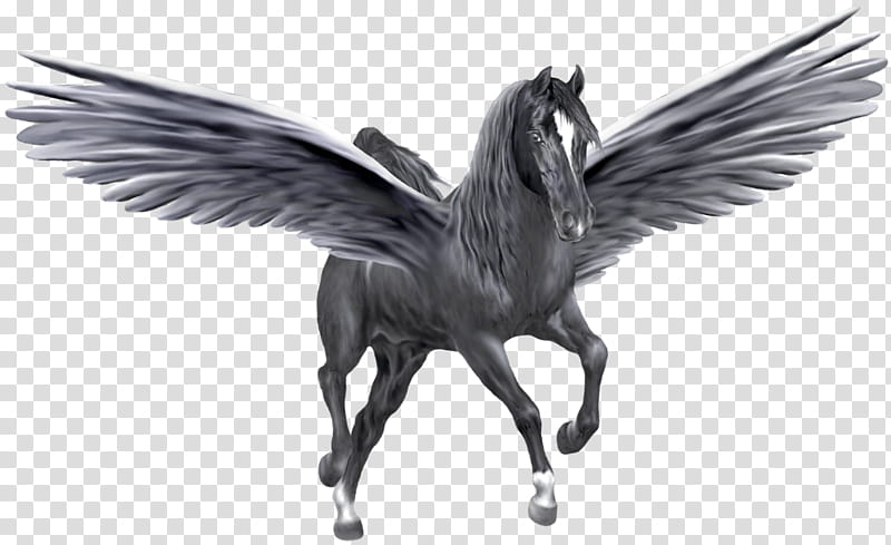 Unicorn, Pegasus, Horse, Flying Horses, Web Design, Wing, Animation, Animal Figure transparent background PNG clipart