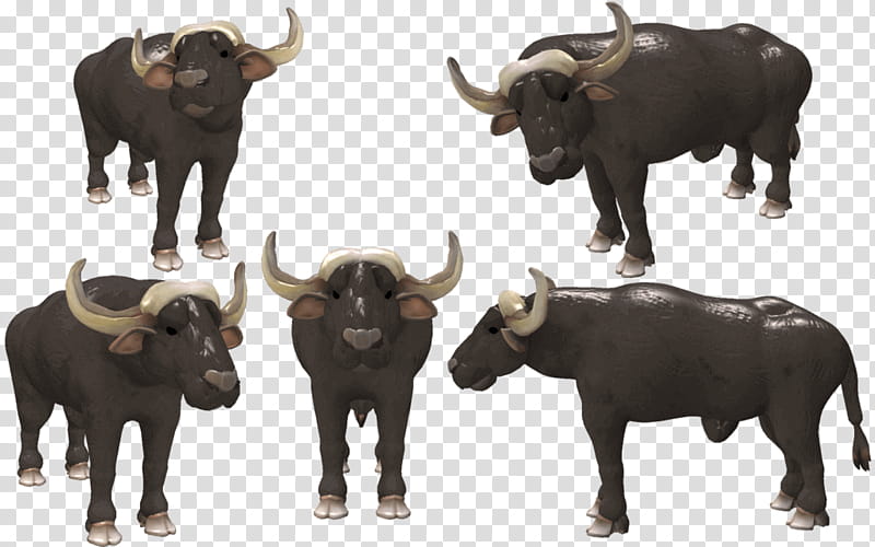 Drawing Of Family, Water Buffalo, Cattle, African Buffalo, Spore, American Bison, Dairy Cattle, Bovidae transparent background PNG clipart