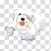 HermOso de muebles, white dog illustration transparent background PNG clipart